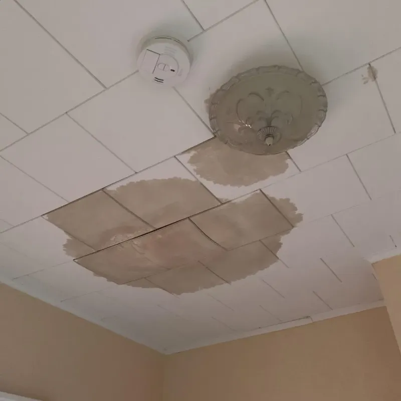 Ceiling Water Damage Repair in Brass Castle, NJ