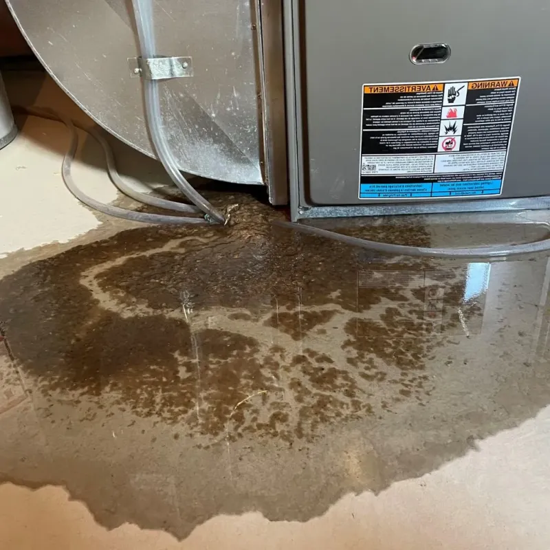 Pipe Burst and Leak Restoration in Brass Castle, NJ