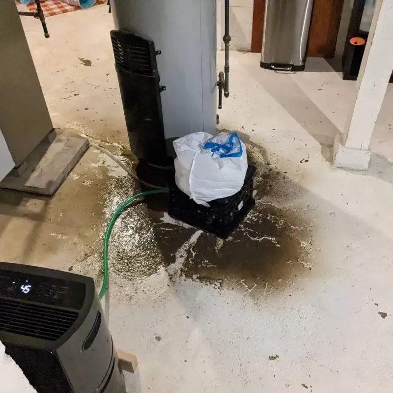 Sewage Backup Cleanup Service in Brass Castle, NJ